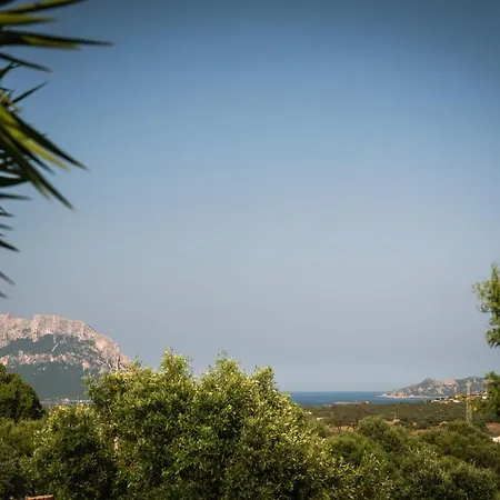 Apartment Casa Vacanze Uva